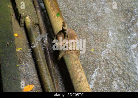 Close Up Of Old Rusty Water Pipes Partially Submerged In Flowing Water With Green Moss On Concrete Stock Photo