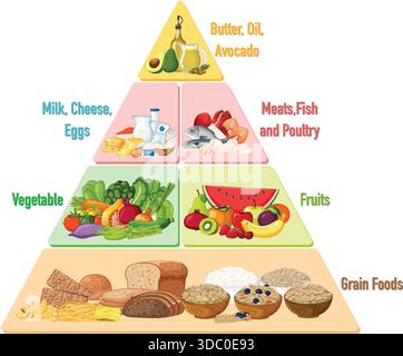 Vector illustration of a food pyramid showing grain foods, vegetables, fruits, dairy, proteins, and healthy fats in a flat, vibrant style Stock Vector