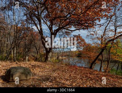 The DuPage River is viewed in autumn from a bluff above the river, Hammel Woods Forest Preserve, Will County, Illinois Stock Photo