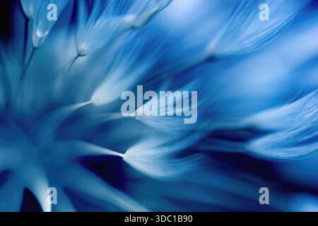 Blurred flower - abstract background -  Trendy color 2020 - classic blue. Stock Photo