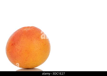One juicy grapefruit isolated on white background, close-up. Stock Photo
