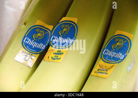 Chiquita is one of the largest and best-known banana brands in the world, operated by the Swiss-American company Chiquita Brands International. Stock Photo