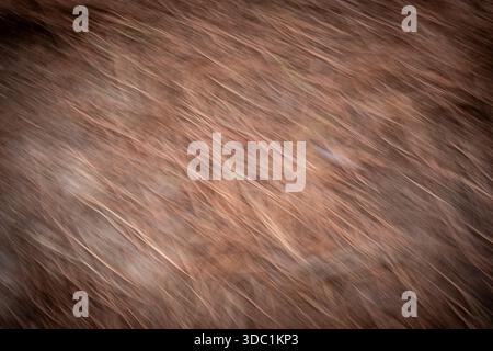 Abstract blurred lines moving diagonally, creating a dynamic background texture with warm, earthy tones and a rustic feel Stock Photo