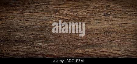 Rough textured bark on an old brown tree log presenting a natural rustic background Stock Photo