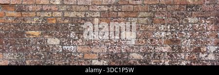 Weathered brick wall surface with textured bricks and mortar, showing lichen growth Stock Photo