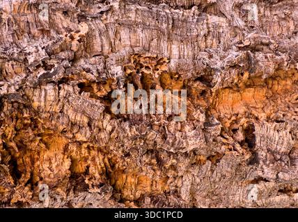 Cork texture showing natural wood grain and rough organic surface Stock Photo