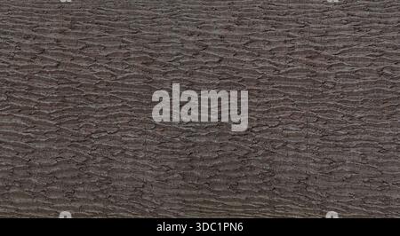 Tree bark showing detailed rough texture and brown surface pattern Stock Photo