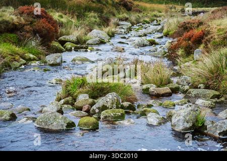 Close-up of Wicklow Mountains stream, clear water over mossy granite boulders, autumn heather, rugged upland Ireland. Stock Photo