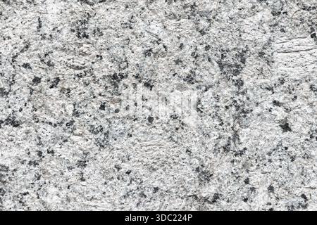 A detailed close-up of a light gray granite surface speckled with black mineral flecks. Ideal as a natural texture background for photography, graphic Stock Photo
