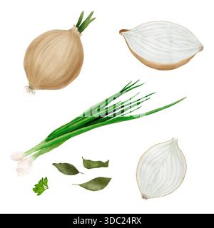 Yellow onion, whole and halved. Watercolor digital illustration. Ripe, healthy farm vegetables isolated on a white background. Green onion sprigs and Stock Photo