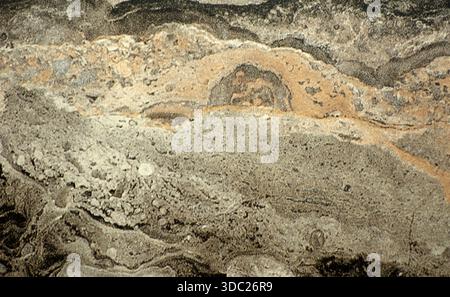Gray onyx with wavy orange flecks, close-up of the polished natural stone surface. Background, texture, seamless. Stock Photo
