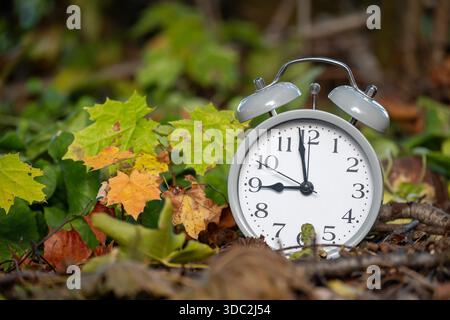 A close-up of a classic alarm clock nestled among fallen leaves, capturing the essence of autumn and the passage of time. Stock Photo