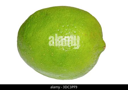 Lime isolated on white background Stock Photo