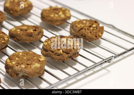 Fresh homemade chocolate chip cookies cooling on a wire rack Stock Photo