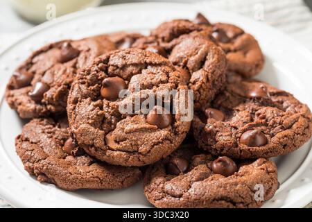 Homemade Double Chocolate Chip Hazelnut Cookies with Milk Stock Photo