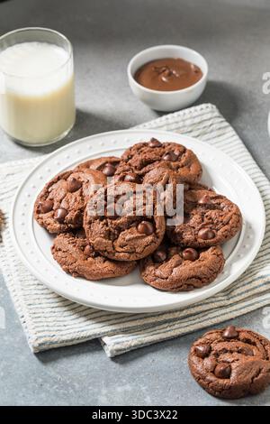 Homemade Double Chocolate Chip Hazelnut Cookies with Milk Stock Photo