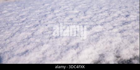 Fresh snow surface texture with soft light and sparkling winter background Stock Photo