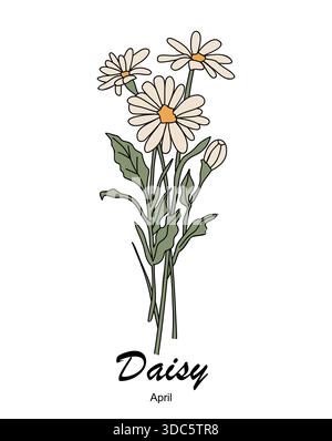 Daisy, April Birth month flowers vector art Stock Vector
