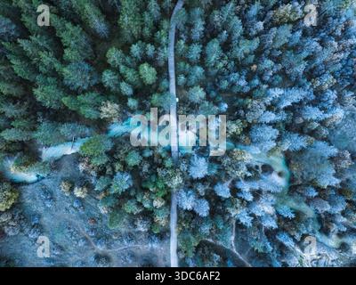 Top view of cold dense conifer forest natural textures with winding glacial river and wooden path in early winter Stock Photo