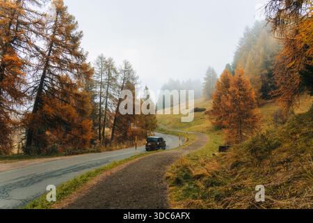 Car driving along foggy mountain road surrounded by golden autumn larch trees in Dolomites, Italy Stock Photo