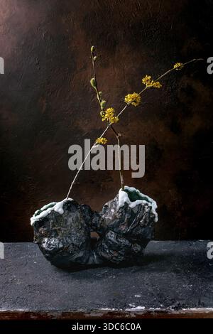 Minimalist still life with yellow blooming branches in dark stone vase against brown textured background. Artistic composition with natural elements. Stock Photo