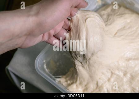Closeup of woman hand kneading yeast dough in plastic container. Homemade bread making process stretching elastic bread dough. Stock Photo
