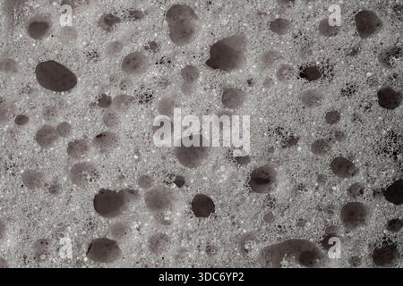 Sponge detail texture, sponge texture close up background. Cellulose sponge texture. Black and white Stock Photo