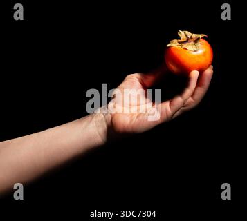 fuyu persimmon in hand on black background Stock Photo