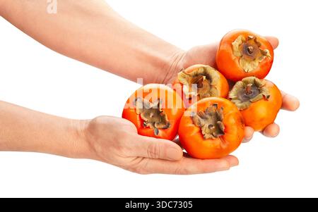 fuyu persimmon in hand path isolated on white Stock Photo