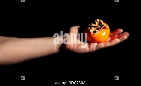 fuyu persimmon in hand on black background Stock Photo