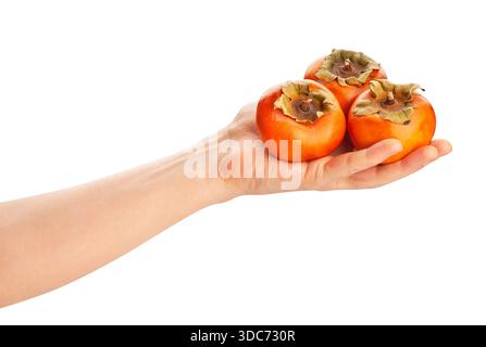 fuyu persimmon in hand path isolated on white Stock Photo