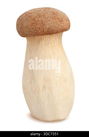king oyster mushroom path isolated on white Stock Photo