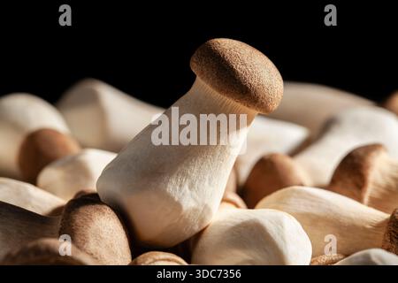 king oyster on black background Stock Photo