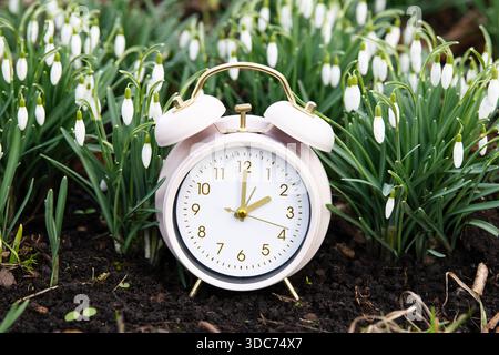 Alarm Clock With Snowdrop Flowers In Spring, Switch To Daylight Saving Time In Springtime, Summertime Changeover Stock Photo