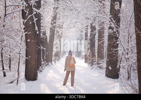 Winter walk in the snowy forest. A woman walks along a path among tall trees covered with snow. Peaceful atmosphere, fresh air, natural beauty, privac Stock Photo