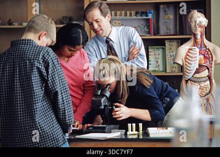 Students work together in a science class at a school. They look through a microscope while the teacher gives guidance. A model of the human body is n Stock Photo