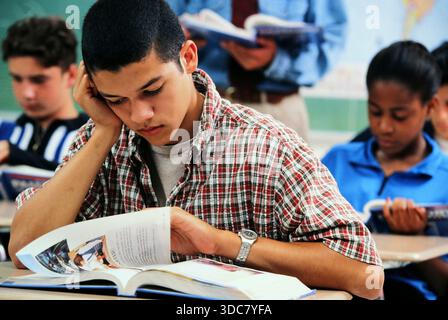 Several hgh school students sit at desks in a classroom. One Latinostudent focuses on a book while others read. The atmosphere shows learning and study. Stock Photo