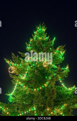 Green, Illuminated,, Christmas Tree, Stock Photo