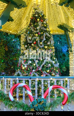 Christmas Tree, Burnaby Village Museum, Burnaby, British Columbia, Canada Stock Photo