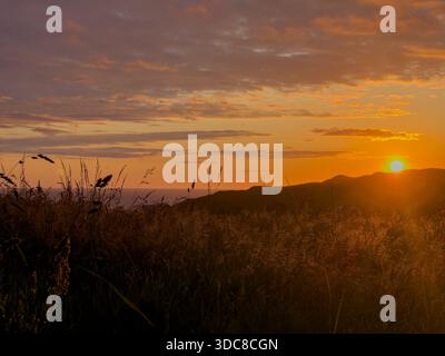 Sunset over wild grasses and distant hills at Perranporth beach, Cornwall, UK – scenic coastal landscape Stock Photo