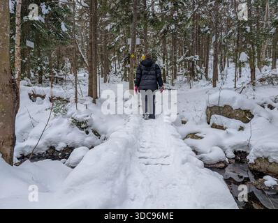 Canada, Quebec, 23 November 2025 : Winter hike through snow covered forest path over narrow bridge Stock Photo