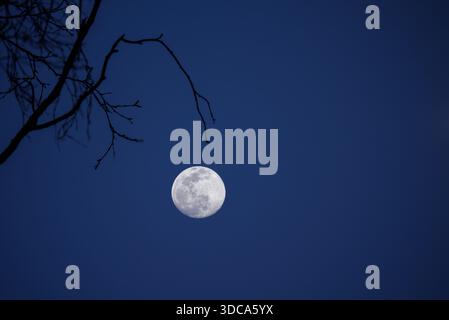 A large moon is in the sky above a dark blue sky. The moon is the only light source in the image Stock Photo