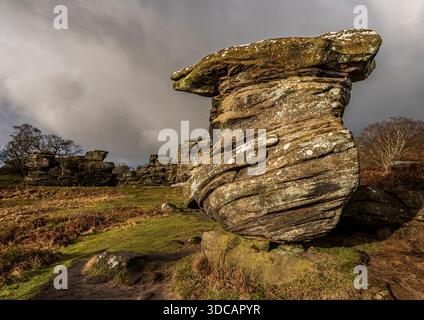 Brimham Rocks in Yorkshire, UK;  Freestanding rock, diagonal laminations; other rock formations, trees, darks clouds and warm lighting from low sun Stock Photo