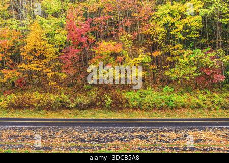 Asphalt road winds through the Great Smoky Mountains during the fall season while framed by beautiful multi-colored foliage. Stock Photo