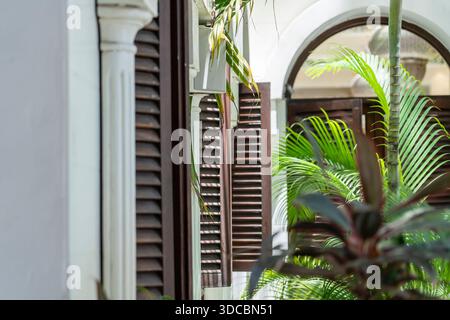 Window with wooden shutters on white stucco wall and green palm tree in yard. Island Zanzibar, Tanzania, East Africa, close up Stock Photo