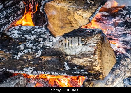 Close-up of split-log firewood burning in an outdoor campfire. (USA) Stock Photo