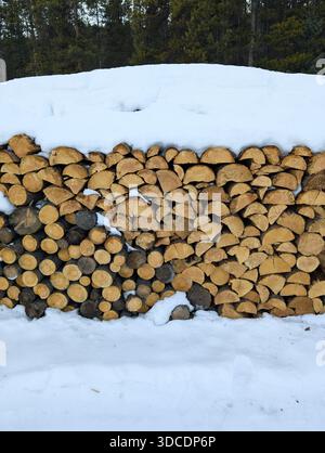 A pile of firewood lies in a pile, chopped for burning in the stove. Preparation for winter. A pile of logs for firewood. Background with firewood. Stock Photo