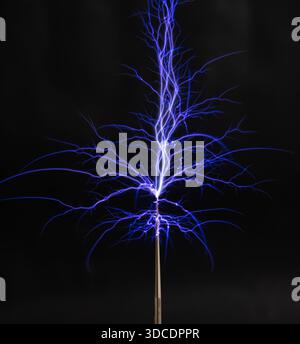 A bright electrostatic discharge from a Tesla coil with blue branching lightning bolts on a black background. Stock Photo
