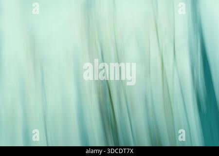 Abstract green gradient modern backgroung. Blurred lines. Stock Photo