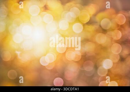 Beautiful autumnal golden colored shining sunlight. Stock Photo
